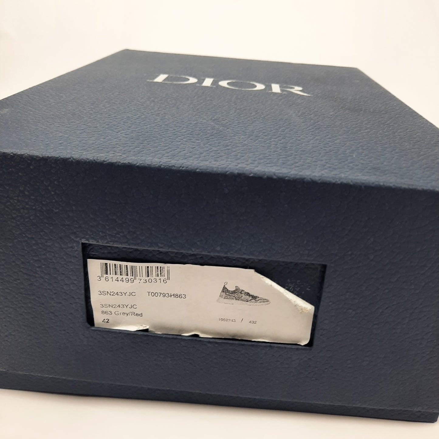 Dior B21 Trainers