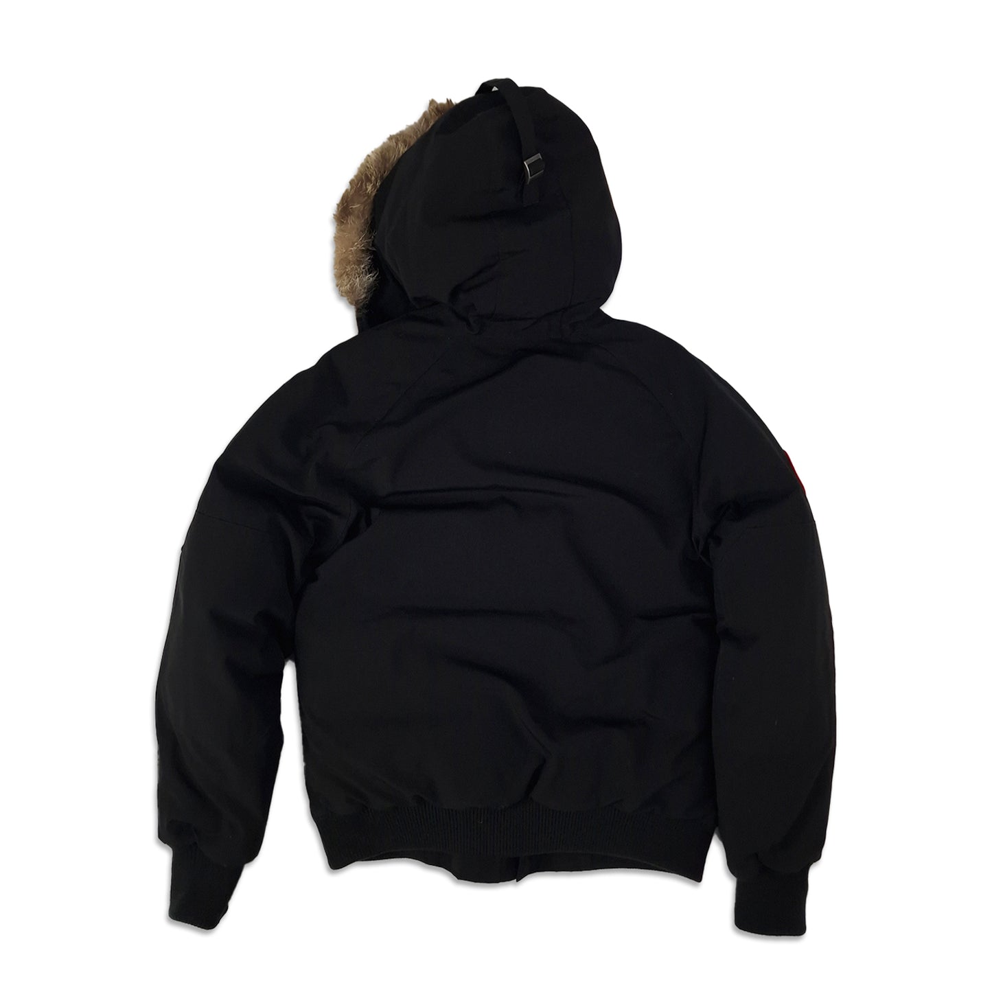 Back view of men's Canada Goose Chilliwack Bomber 7950M Small in black featuring Arctic Program patch, bomber-style winter jacket photographed on styled background