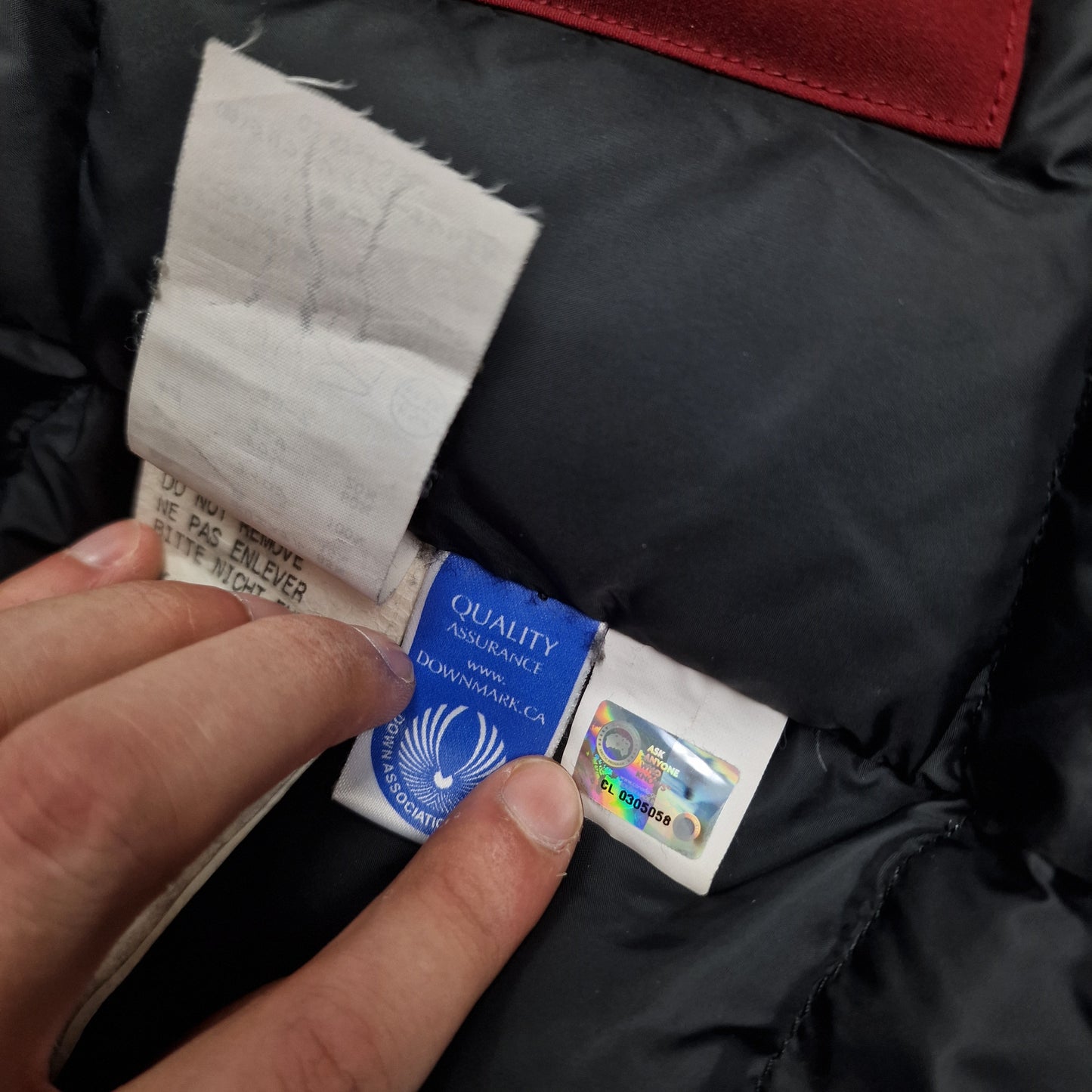 Close-up of Canada Goose authenticity hologram on Victoria Parka, verification label confirming genuine women's Small Niagara Grape burgundy luxury winter coat