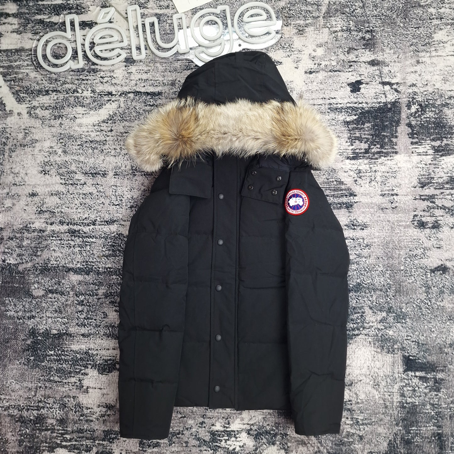 Front view of men's Canada Goose Wyndham Parka 3808MA XS in black with coyote fur-trimmed hood, luxury winter coat photographed on styled background