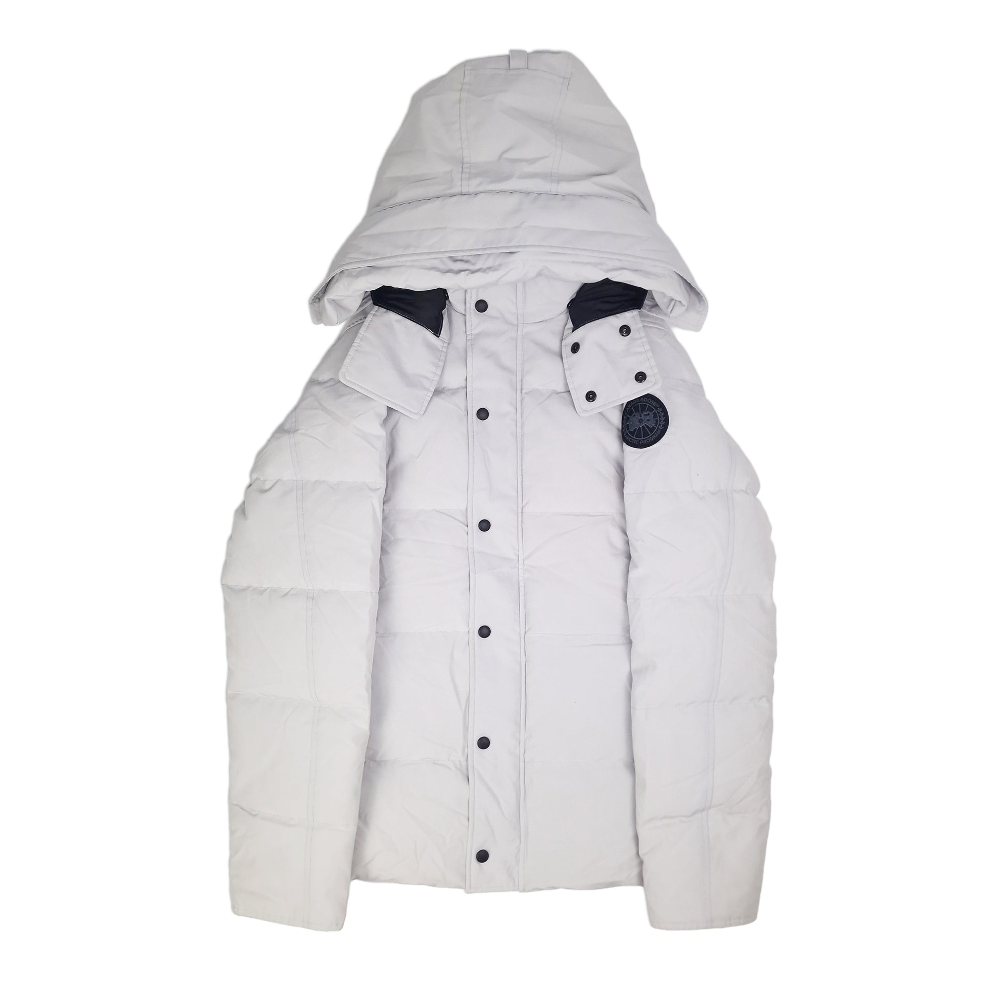 Front view of men's Canada Goose Wyndham Parka Black Label 3808MB size Medium in Silverbirch with coyote fur-trimmed hood, displayed on white background