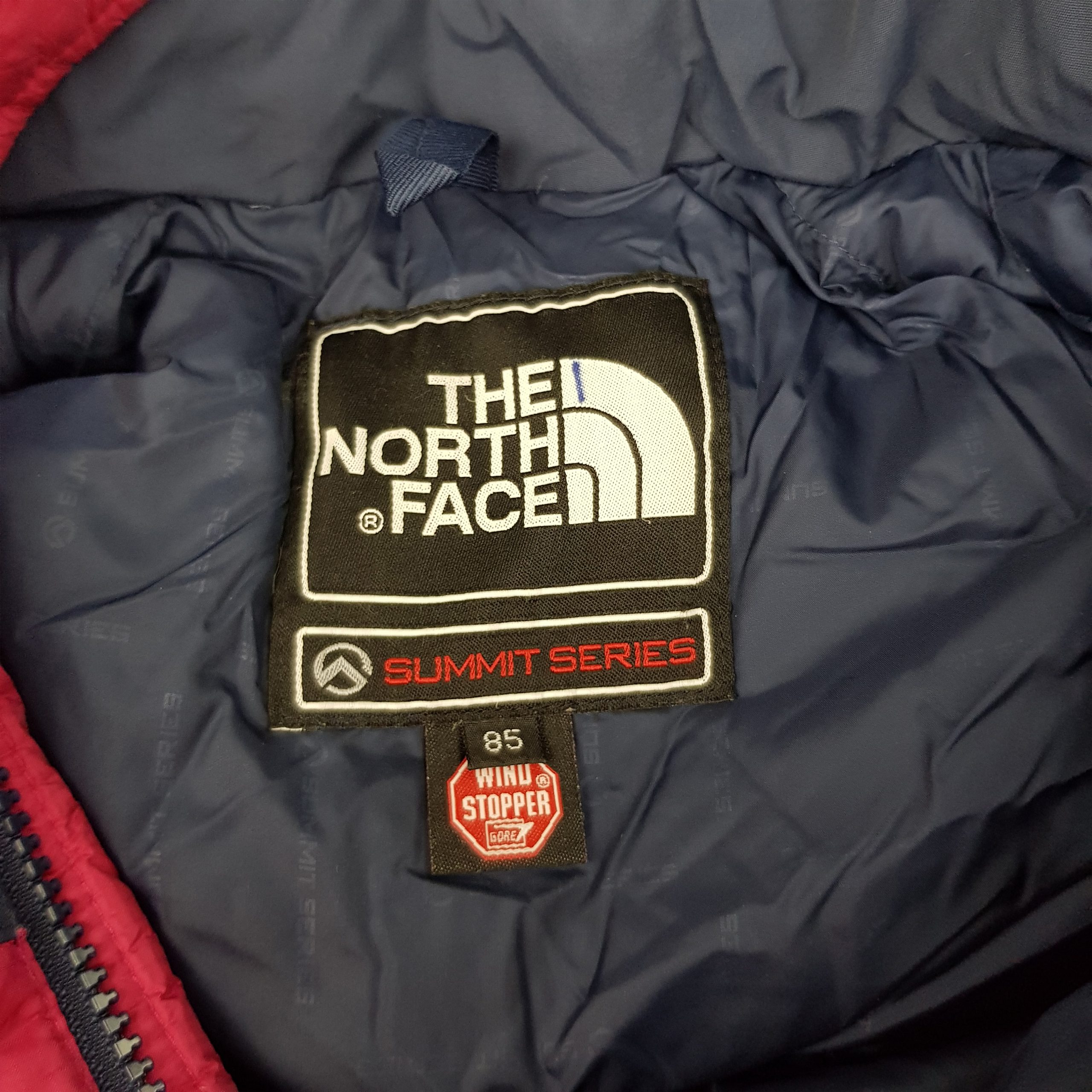 The North Face Summit Series Windstopper Parka 700