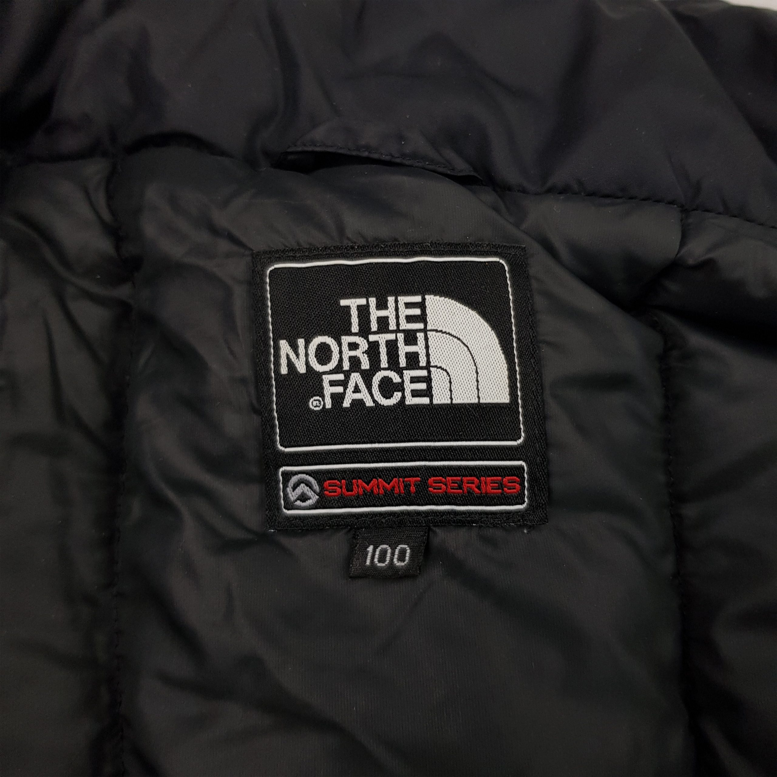 Enorme Clever Nacht the north face summit series fake Iss Abendessen ...